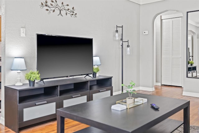 living room featuring hardwood / wood-style floors