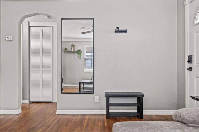 interior space featuring dark hardwood / wood-style floors and ceiling fan