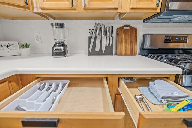 room details with range hood and gas stove