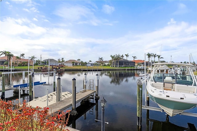 dock area with a water view