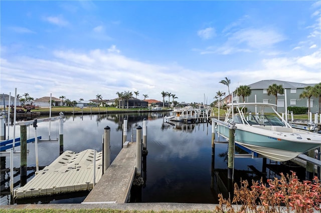 dock area with a water view