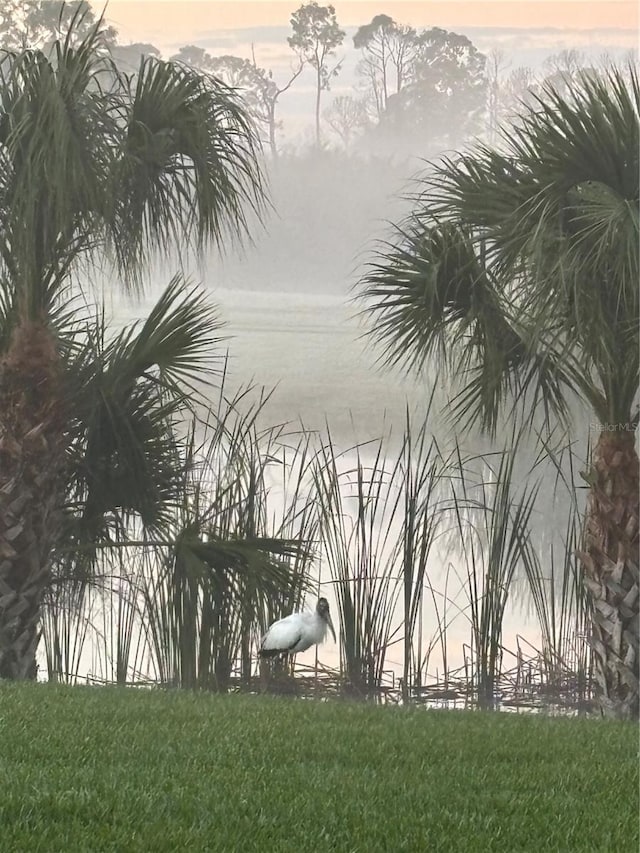 view of water feature