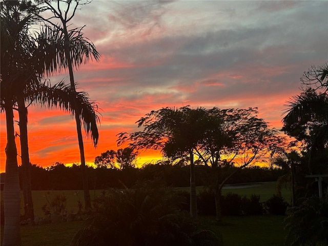 view of nature at dusk