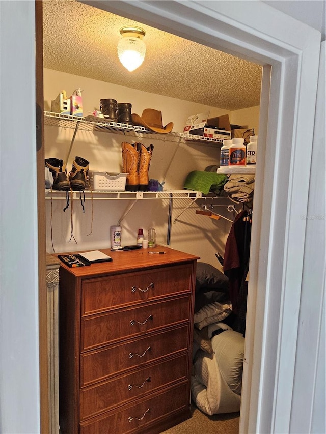 walk in closet featuring carpet floors