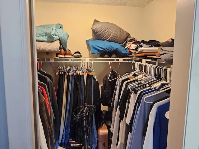 view of walk in closet