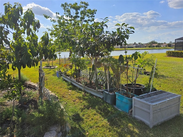 view of yard featuring a water view