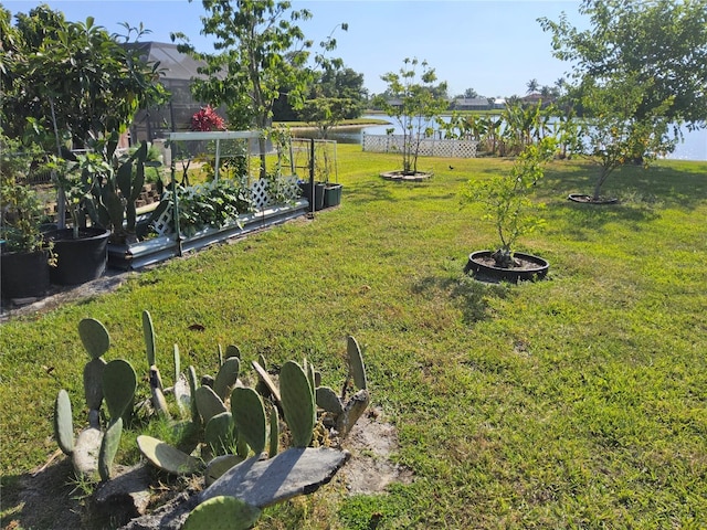 view of yard with a water view