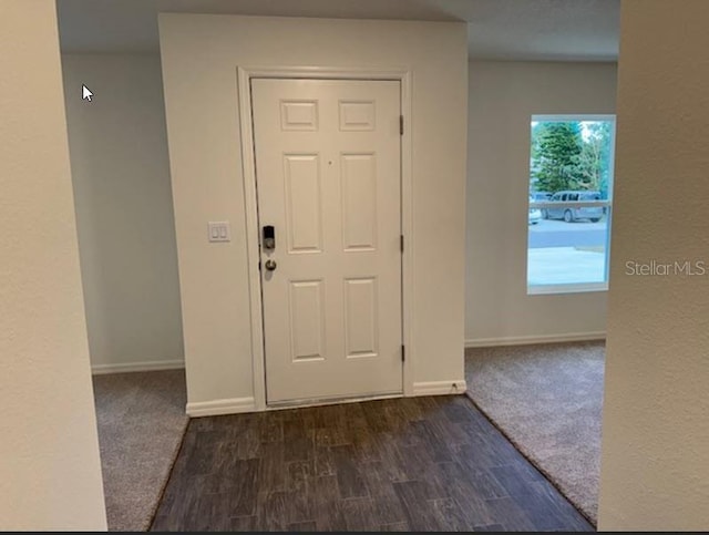 entryway featuring dark wood-type flooring