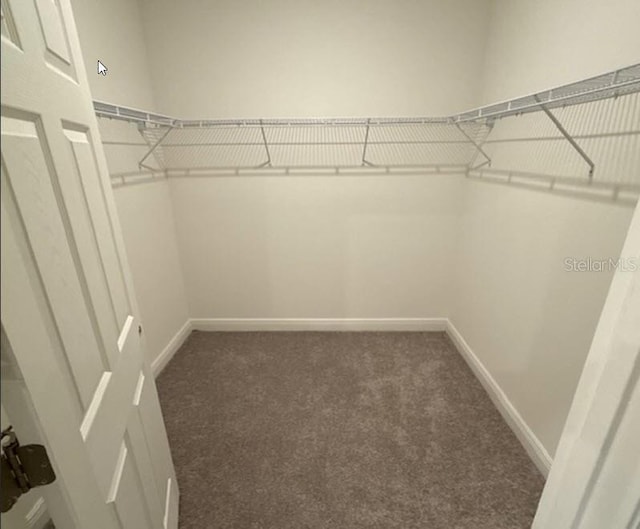 spacious closet featuring dark colored carpet