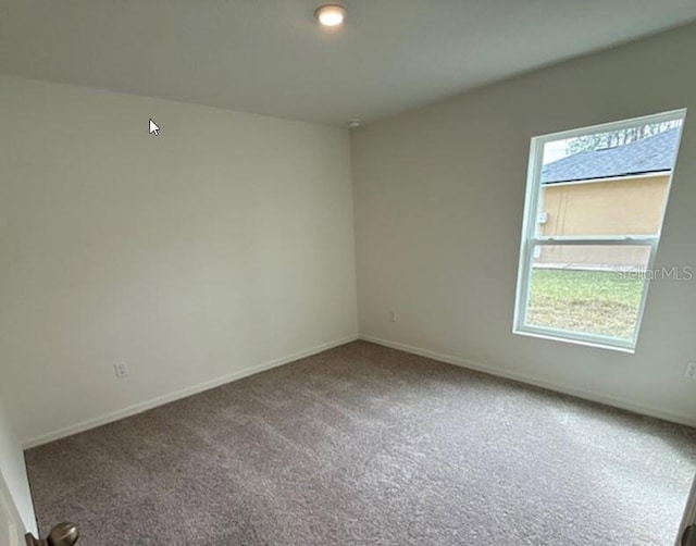 spare room featuring carpet and a wealth of natural light