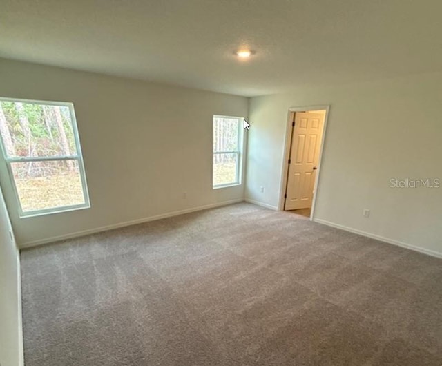 spare room featuring carpet flooring