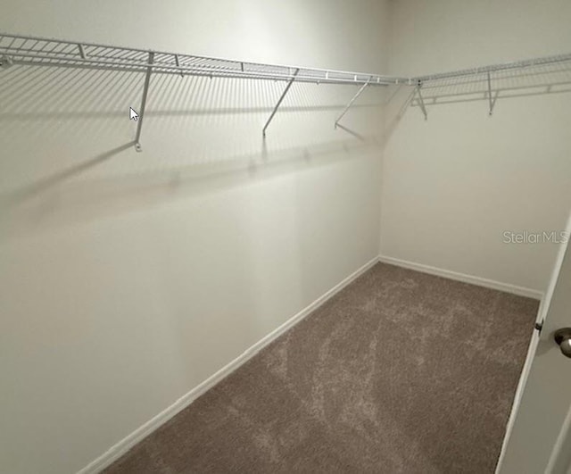 spacious closet featuring dark colored carpet