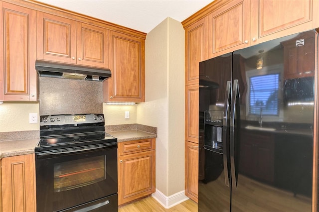 kitchen featuring sink, light wood-type flooring, and black appliances