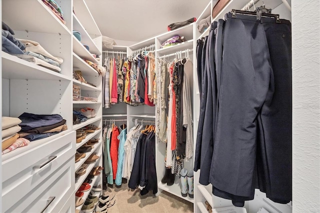 walk in closet featuring carpet flooring