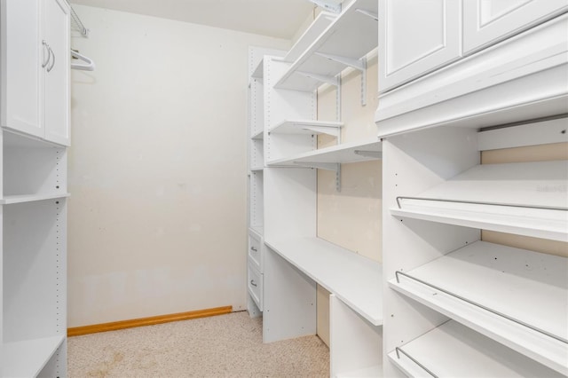 walk in closet with light colored carpet