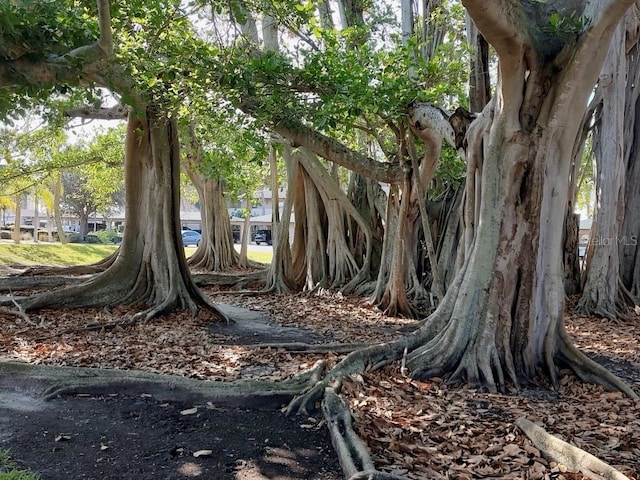 view of nature