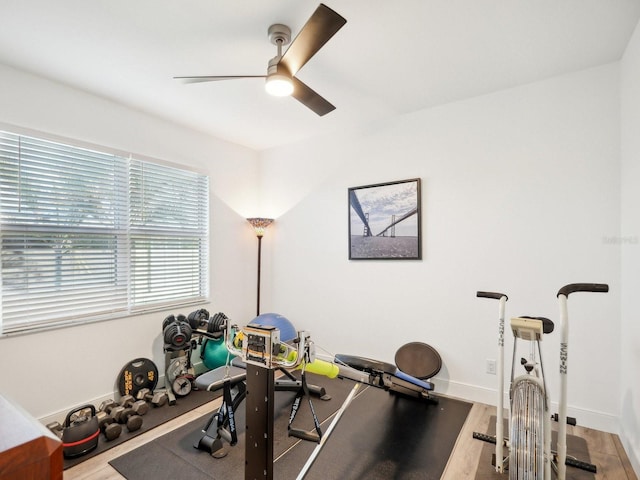 workout room featuring ceiling fan and hardwood / wood-style floors