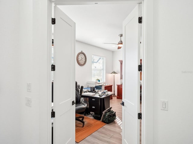 home office with ceiling fan and light wood-type flooring