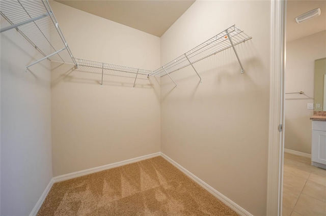 spacious closet with light carpet