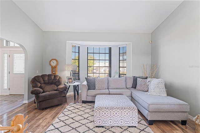 living room with wood-type flooring