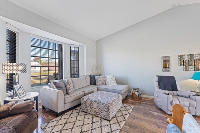 living room featuring wood-type flooring and lofted ceiling