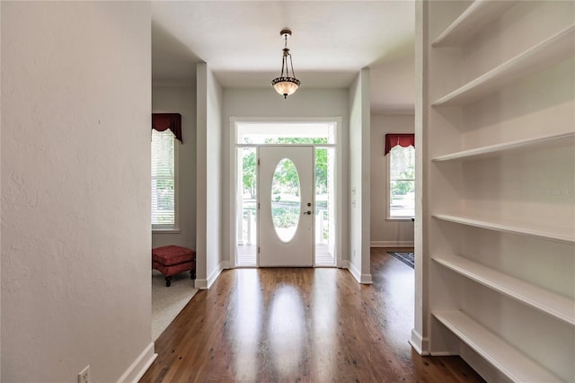 foyer entrance with a healthy amount of sunlight and dark wood-type flooring