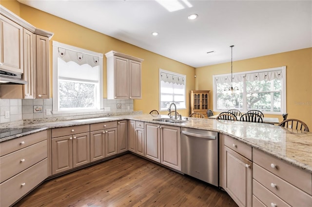 kitchen featuring dishwasher, backsplash, black electric cooktop, and sink