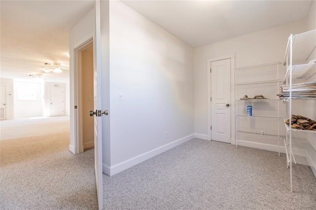 spacious closet featuring carpet flooring