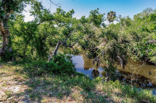 view of local wilderness with a water view