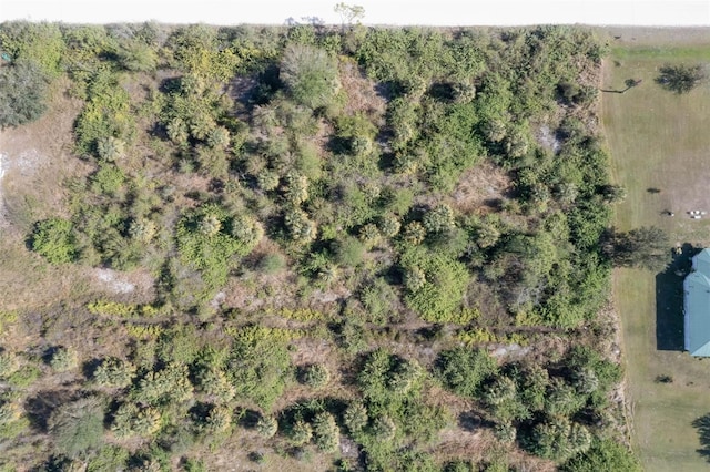 7041 Swiss Blvd, Punta Gorda, FL 33982 - photo 26