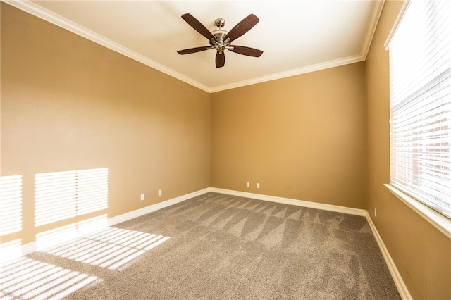 carpeted empty room with ceiling fan and ornamental molding