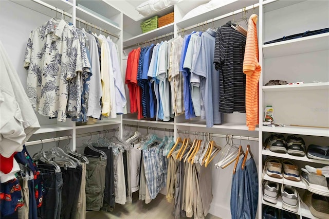 spacious closet featuring hardwood / wood-style floors