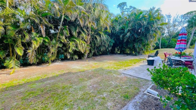 view of yard featuring a patio area