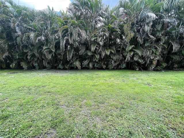22375 Edgewater Dr Unit 151, Port Charlotte, FL 33980 - photo 7