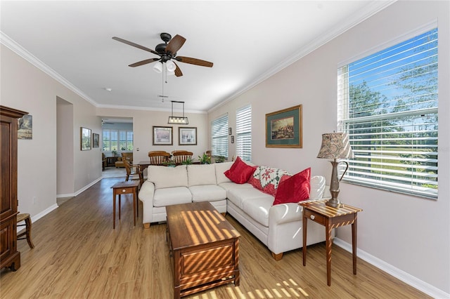 living room featuring ceiling fan, crown molding, and light hardwood / wood-style flooring