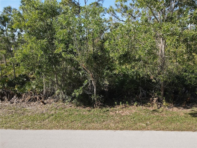 12421 Minnesota Ave, Punta Gorda, FL 33955 - photo 3