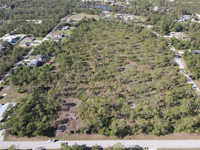 12421 Minnesota Ave, Punta Gorda, FL 33955 - photo 5