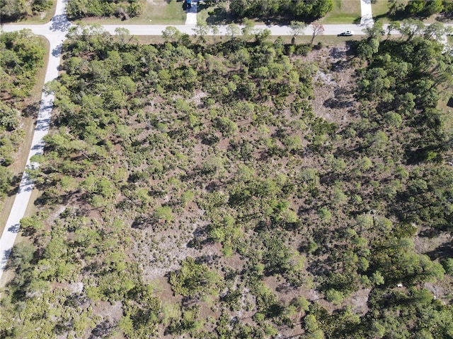 12421 Minnesota Ave, Punta Gorda, FL 33955 - photo 7