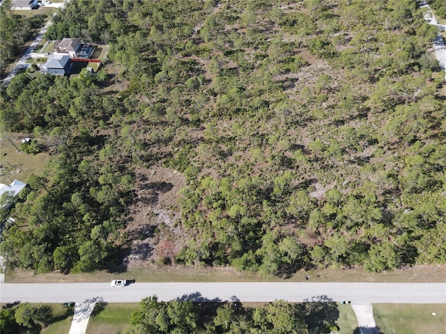 12421 Minnesota Ave, Punta Gorda, FL 33955 - photo 9
