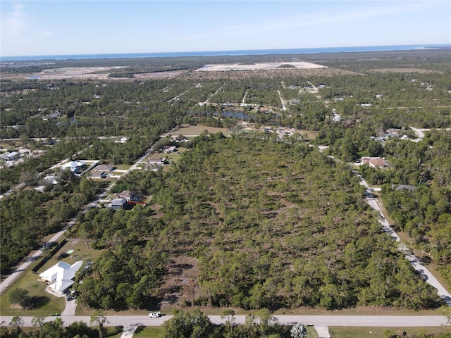 12421 Minnesota Ave, Punta Gorda, FL 33955 - photo 13