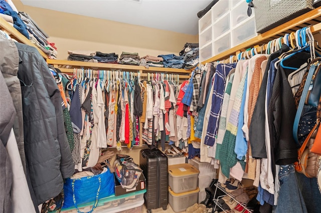 view of walk in closet