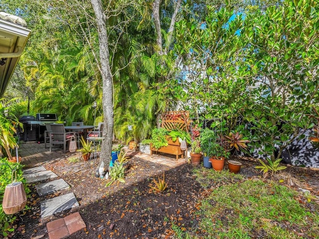 view of yard featuring a patio