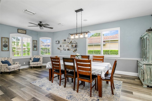 dining room with ceiling fan and hardwood / wood-style floors