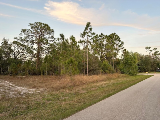 12499 Gucci Dr, Punta Gorda FL, 33955 land for sale