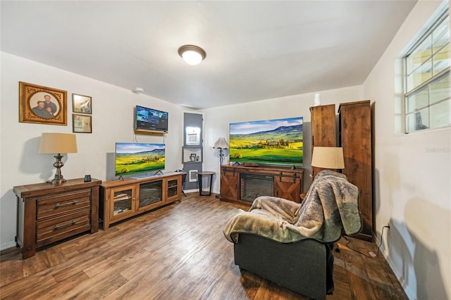 living room with wood-type flooring