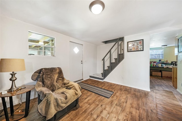 foyer featuring a healthy amount of sunlight and hardwood / wood-style flooring