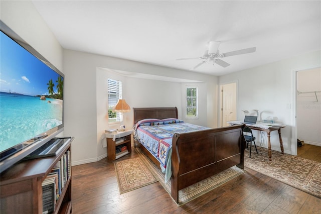 bedroom with ceiling fan, a closet, a spacious closet, and dark hardwood / wood-style floors