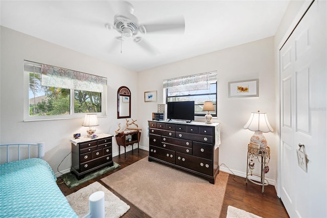 bedroom with multiple windows, ceiling fan, a closet, and dark hardwood / wood-style floors