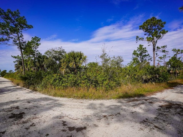 7491 Alfred Blvd 7473, Punta Gorda, FL 33982 - photo 2