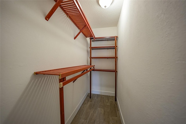 spacious closet featuring hardwood / wood-style floors